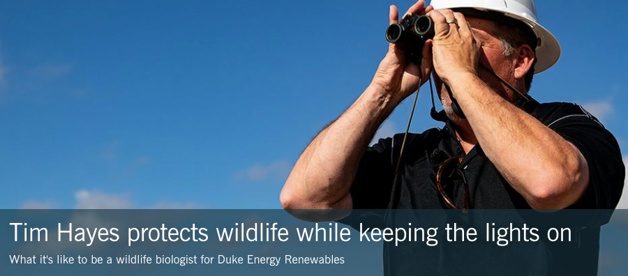 An example of a Duke Energy article.