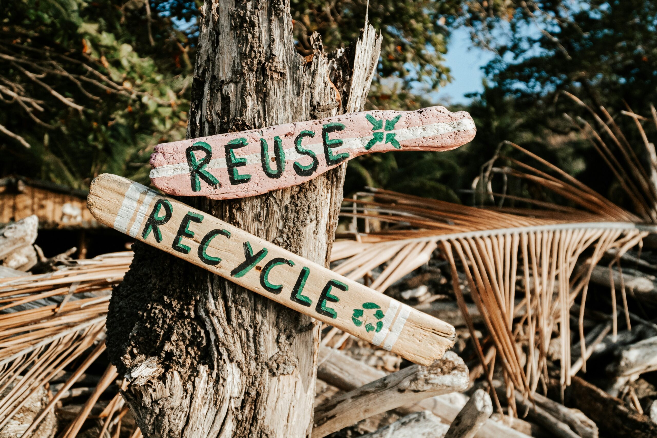 A tree stump in a forest with two wooden signs on it - one that reads "reuse" and one that reads "recycle."