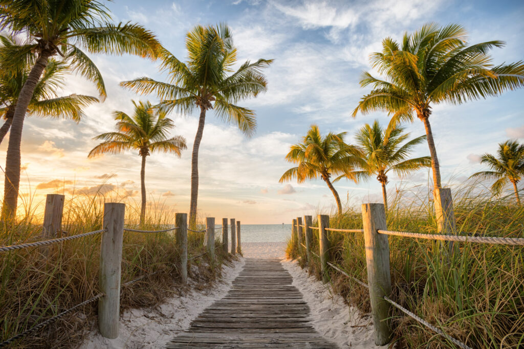 beach scene
