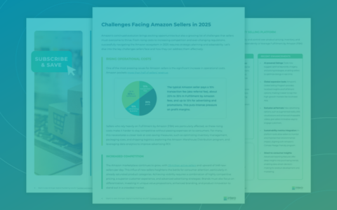 The Amazon Seller’s Guide to Dominating the Amazon Ecosystem in 2025
