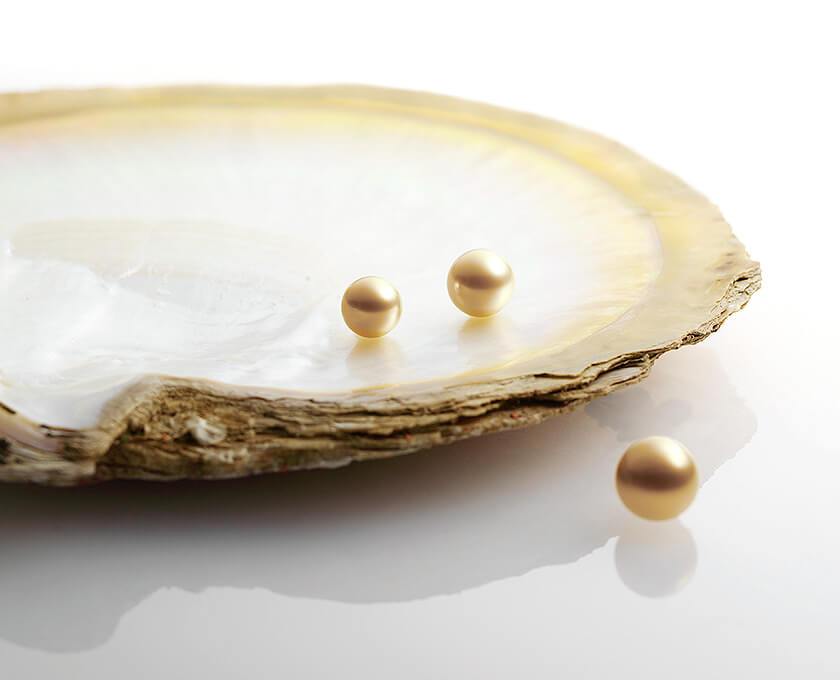 Mikimoto website