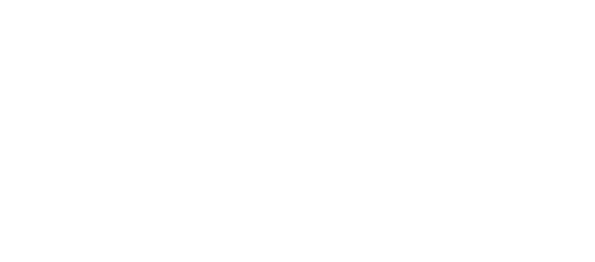 steel storage systems inc logo
